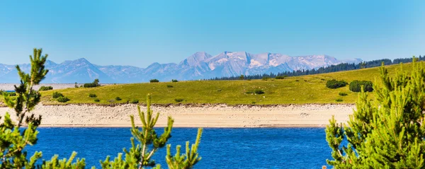 Schöner Blick auf den See und die Berge mit Kiefern — Stockfoto