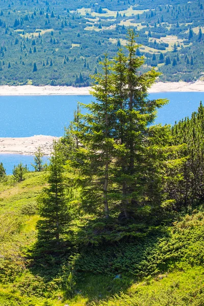 Schöner Blick auf den See und die Berge mit Kiefern — Stockfoto