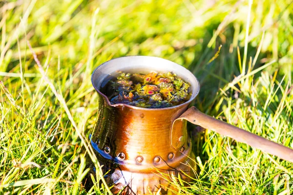 Chá de ervas em cezve — Fotografia de Stock