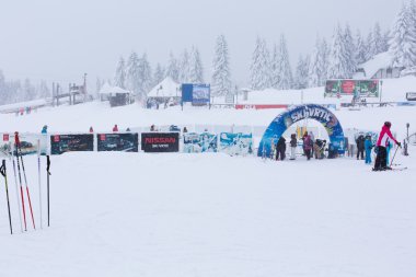 Kayak Merkezi Kopaonik, Sırbistan, kayakçı, çam ağaçları Panoraması