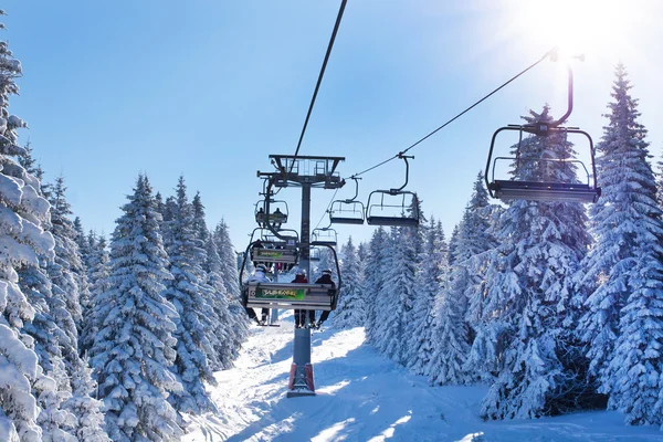 Skigebied, mensen op de lift tussen besneeuwde white pine bomen — Stockfoto
