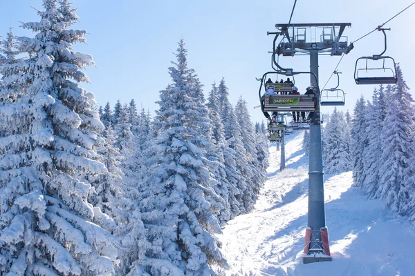 Skigebied, mensen op de lift tussen besneeuwde white pine bomen — Stockfoto