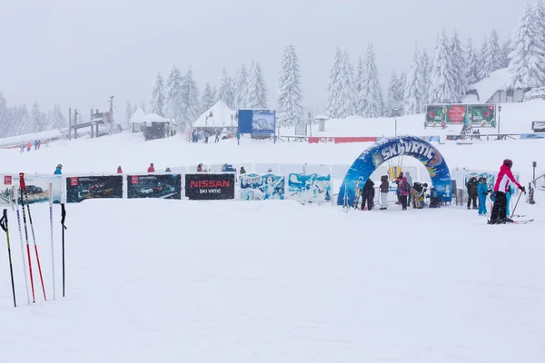 Kayak Merkezi Kopaonik, Sırbistan, kayakçı, çam ağaçları Panoraması