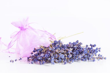 Beyaz arkaplanda bir demet lavanta çiçeği