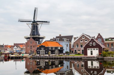 Pitoresk sabah yatay, yel değirmeni, Haarlem, Hollanda