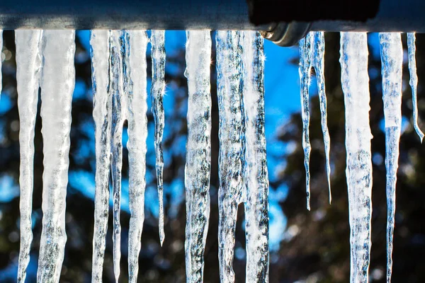 Winter or spring background with bright transparent icicles in the sunlight — Stock Photo, Image