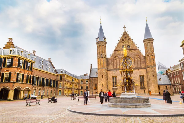 宾内堆夫宫，在荷兰海牙的荷兰议会的地方 — 图库照片