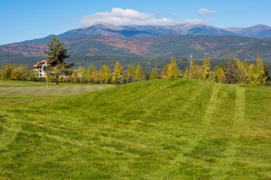 Renkli yeşil, sarı sonbahar ağaçlar, golf çim alan ve bayrakları ile canlı doğa arka plan