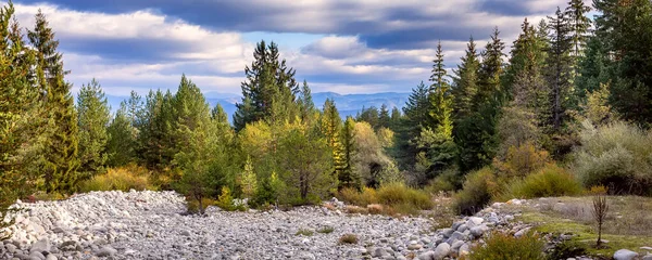 Herbst Landschaft Panorama Banner Hintergrund Mit Wald Bunten Bäumen Steinen — Stockfoto