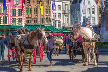 Bruges, Belçika - 10 Nisan 2016: Belçika 'nın popüler tatil beldesi Brugge' de pazar meydanında at arabası