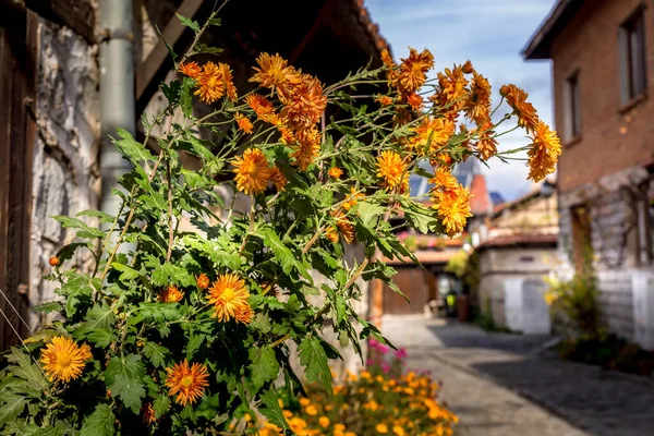 Bansko, Bulgaria flowers and old town street view — Stock Photo, Image