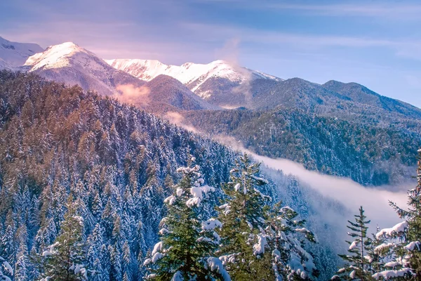 Vinterberg, rosa solnedgång, Pirin, Bulgarien — Stockfoto