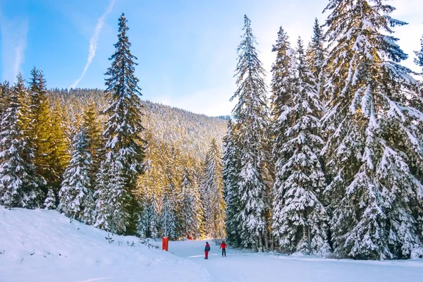 Skidort Bansko, Bulgarien berg och skidåkare — Stockfoto