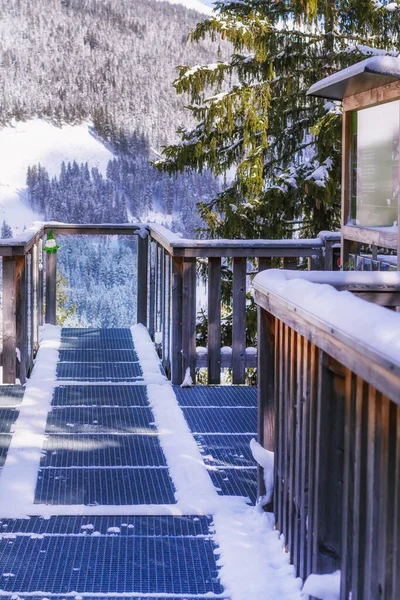 Baumzipfelweg park, Saalbach Hinterglemm, Austria — Stock Photo, Image