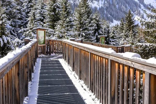 Baumzipfelweg公園, Saalbach Hinterglemm,オーストリア ストックフォト