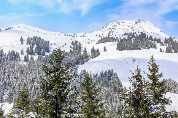 Snöpanorama, Alpernas vinter, Österrike — Stockfoto