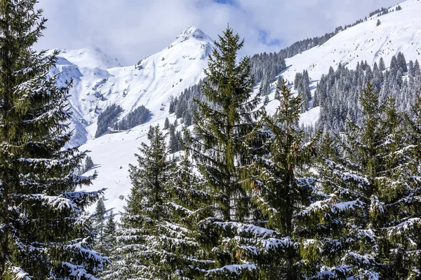 Snöpanorama, Alpernas vinter, Österrike — Stockfoto