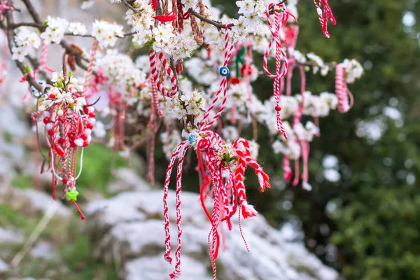 春の花の木の枝にぶら下がっている白と赤のブルガリアのマルテンツァブレスレット — ストック写真