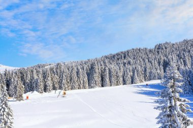 Sırbistan 'ın Kopaonik kayak beldesi Panorama