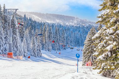 Sırbistan 'ın Kopaonik kayak beldesi Panorama