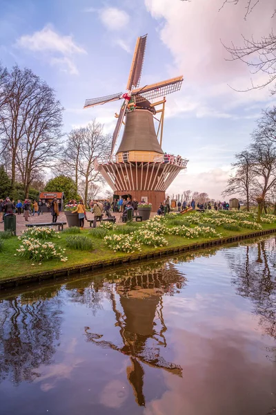Mulino a vento nel giardino primaverile Keukenhof, Paesi Bassi — Foto Stock