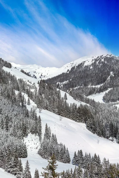 Gelände abseits der Skipiste, Österreichische Alpen — Stockfoto