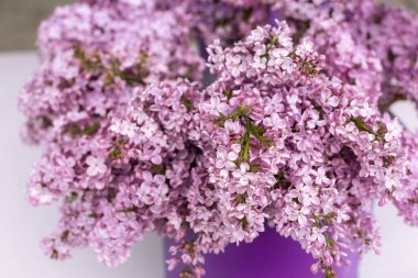 Bahar tatili kartı ve bir buket şırınga. Mor leylak çiçeği. Yakın plan.