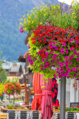 Chamonix Mont-Blanc, Fransa 'nın en renkli çiçekleri ve şehrin ünlü tatil beldesindeki odandan çıkarılmış evleri.