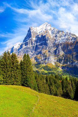 Grindelwald, İsviçre kar dağları manzaralı