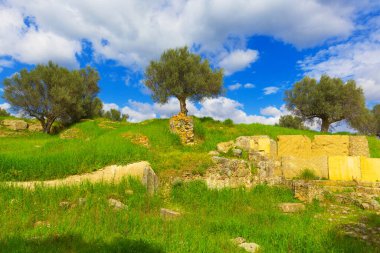 Sparta, Yunanistan Mora 'da antik kalıntılar ve zeytin ağaçları kaldı