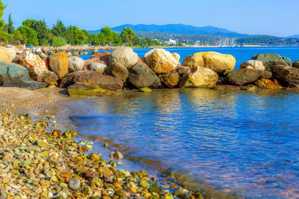 Kiefernwald am Meer in Chalkidiki, Griechenland — Stockfoto