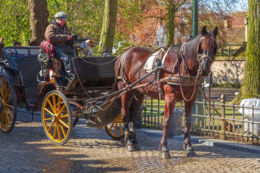Bruges, Belçika - 10 Nisan 2016: Belçika 'nın popüler tatil beldesi Brugge' de turistleri bekleyen kahverengi atlı fırıncı