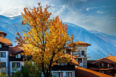 Bansko, Bulgaristan, sonbahar ağaçları ve evler