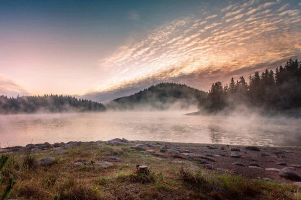 Gölde sabah sisi, dağlarda çam ağacı ormanı manzarası, Shiroka polyana barajı, Bulgaristan