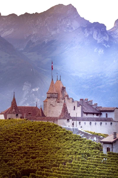 Chateau dAigle in canton Vaud, Switzerland — Stock Photo, Image