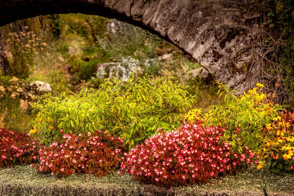 Arc en pierre avec plantes et fleurs d'automne — Photo