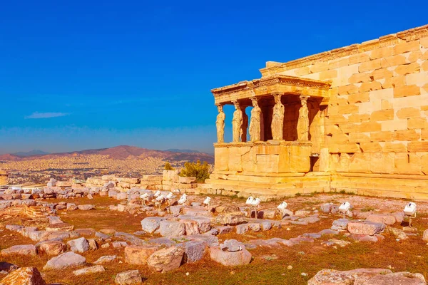 Estatuas Cariátides Partenón Acrópolis Atenas Grecia — Foto de Stock