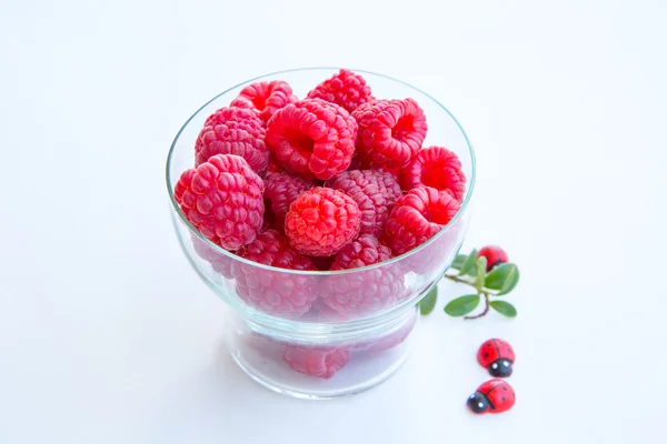 Freshly picked ripe red raspberries. — Stock Photo, Image
