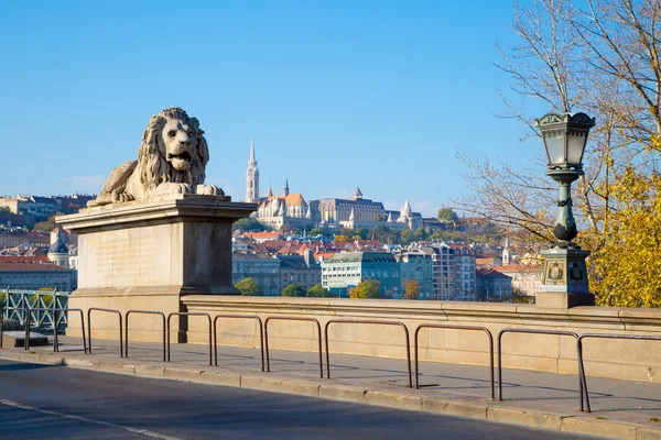 Budapest, Löwenstatue an der Kettenbrücke — Stockfoto