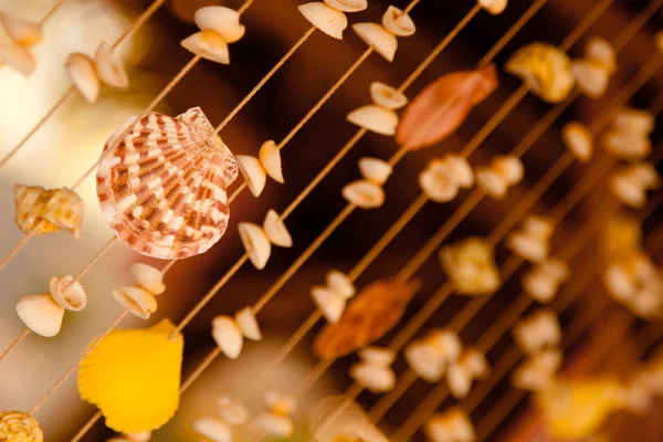 Shell curtain — Stock Photo, Image