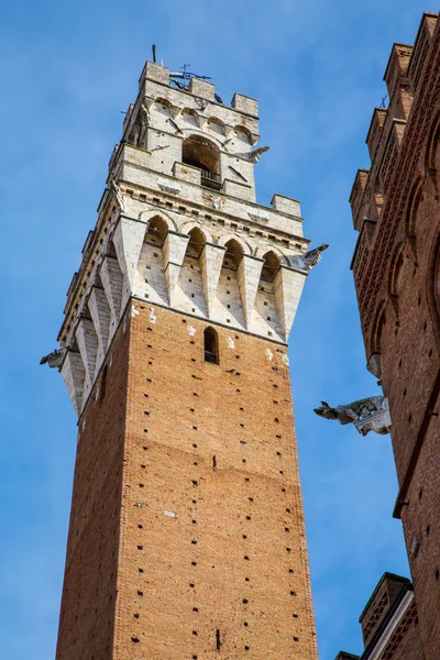 Wizerunek Torre del Mangia w Sienie Włochy — Zdjęcie stockowe