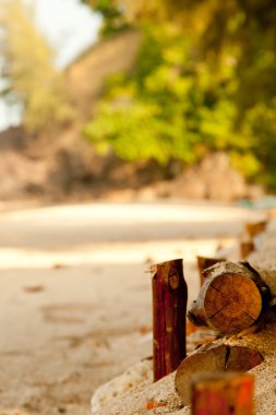 Sandy beach çerçeve