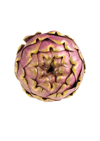 Large purple fresh artichoke on  white background . — Stock Photo, Image