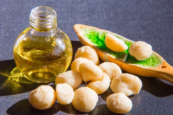 Bodegón con aceite de macadamia en la botella y frutos secos —  Fotos de Stock