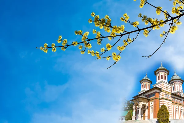Sfondo pasquale con vibrante fiore giallo di primavera e chiesa — Foto Stock