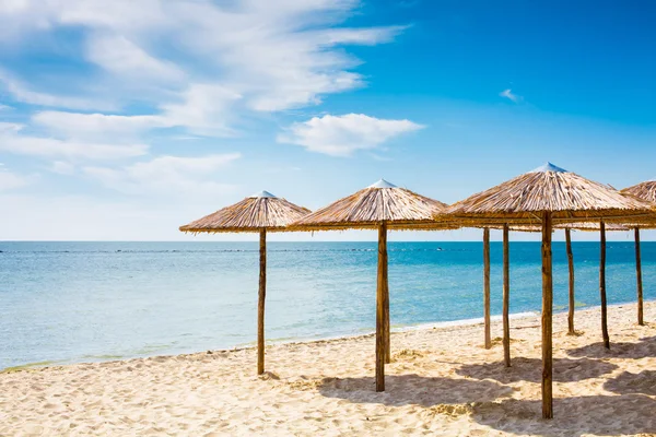 Row of wooden umbrellas at sandy beach, sea and blue sky — Stock Photo, Image