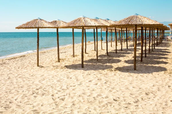Row of wooden umbrellas at sandy beach, sea and blue sky — Stock Photo, Image