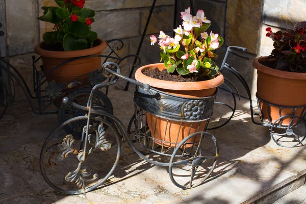 Decorative  bicycle vase with flowers — Stock Photo, Image