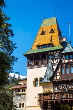 Pelisor kale Romanya