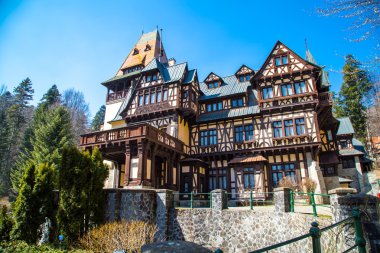 Pelisor kale Romanya